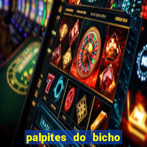 palpites do bicho no celular